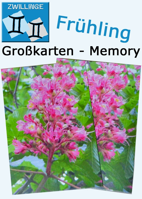 Großkarten Memory "Zwillinge" - Frühling